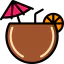 Coconuts biểu tượng 64x64