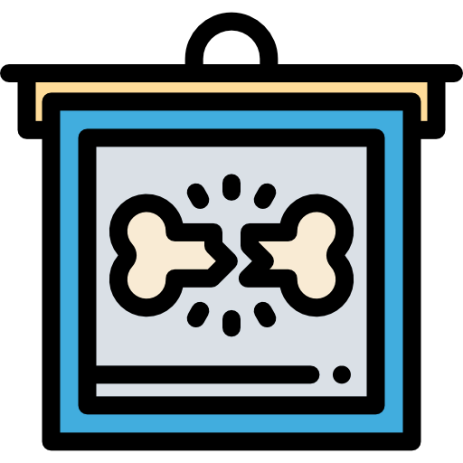 X ray icon