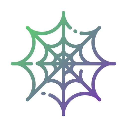 Spider web icon