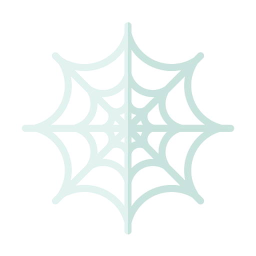 Spider web icon