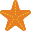 Starfish icon 64x64