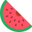 Watermelon icon 64x64