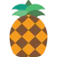 Pineapple Symbol 64x64