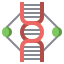 Dna structure icon 64x64