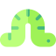 Worm icon 64x64