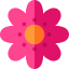 Flower icon 64x64