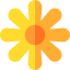 Flower icon 64x64
