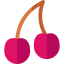 Cherry icon 64x64