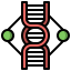 Dna structure icon 64x64