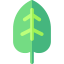 Leaf icon 64x64