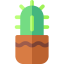Cactus icon 64x64