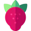 Strawberry icon 64x64