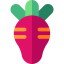 Radish icon 64x64