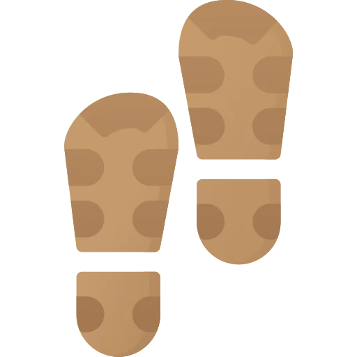 Footsteps icon