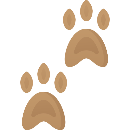 Footsteps icon