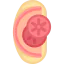 Sandwich icon 64x64
