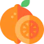 Orange icon 64x64