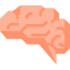 Brain icon 64x64