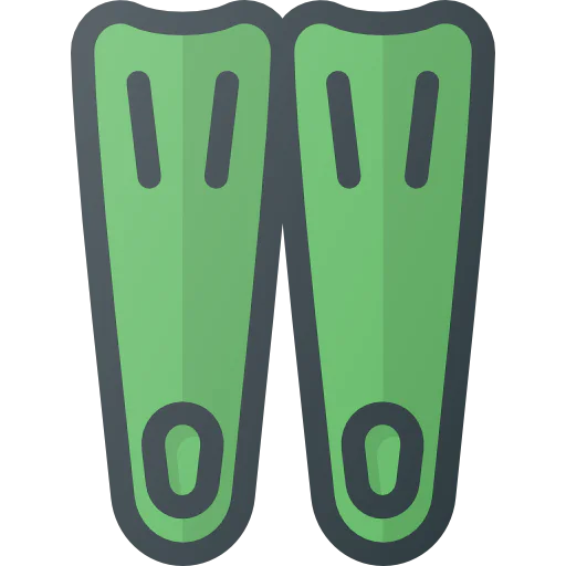Flippers icon