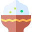 Rice icon 64x64