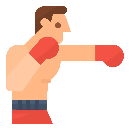 Boxing icon