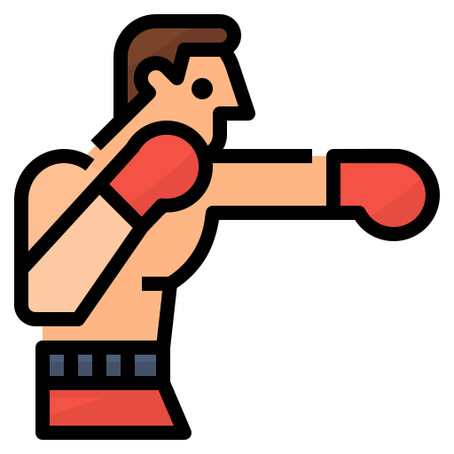 Boxing icon