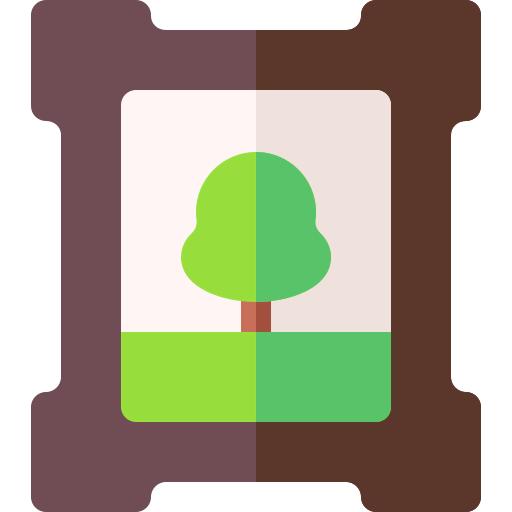 Picture icon