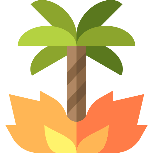 Fire icon