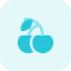 Cherry icon 64x64