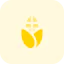 Corn icon 64x64