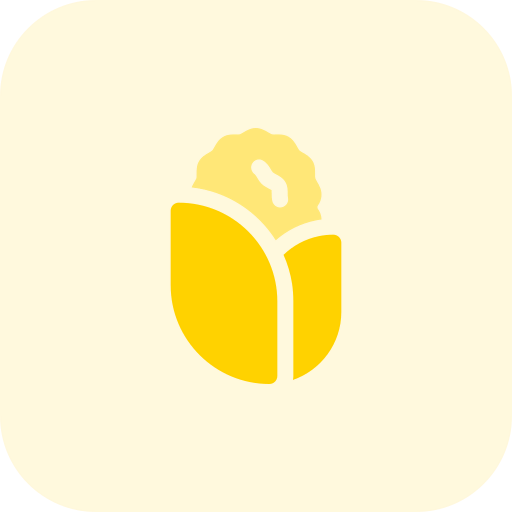 Maize icon