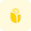Maize icon 64x64