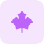 Maple leaf icon 64x64