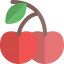 Cherry icon 64x64