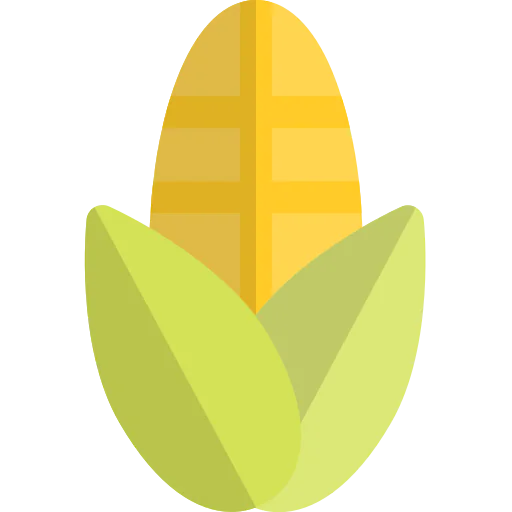 Corn icon