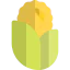 Maize icon 64x64