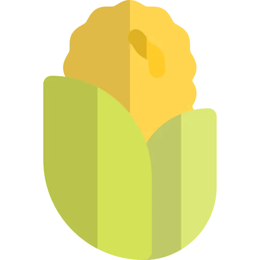 Maize icon