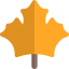 Maple leaf icon 64x64