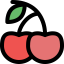 Cherry icon 64x64