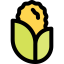 Maize icon 64x64