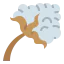 Cotton icon 64x64