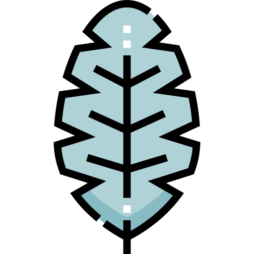 Leaf icon