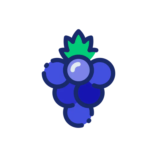 Berries icon