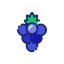 Berries icon 64x64