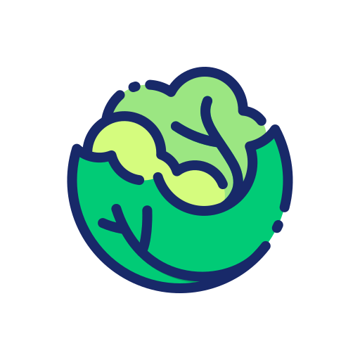 Cabbage icon