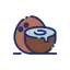 Coconut icon 64x64