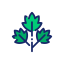 Parsley icon 64x64