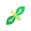 Basil アイコン 64x64