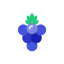 Berries icon 64x64