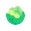 Cabbage icon 64x64